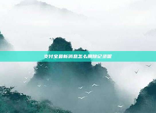 支付宝最新消息怎么删除记录呢