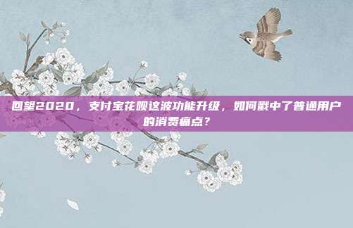 回望2020，支付宝花呗这波功能升级，如何戳中了普通用户的消费痛点？