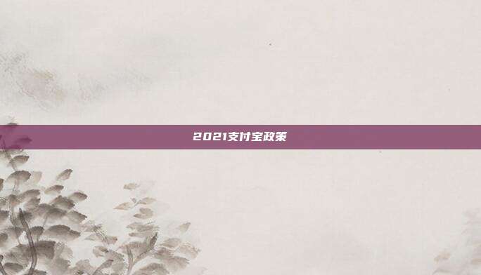 2021支付宝政策