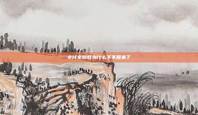 支付宝卸载为什么下不回来了