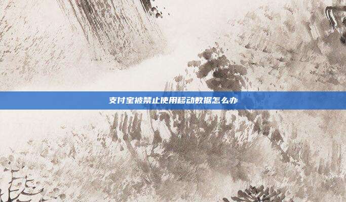 支付宝被禁止使用移动数据怎么办