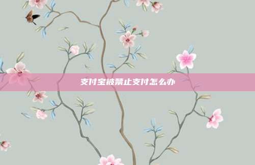 支付宝被禁止支付怎么办