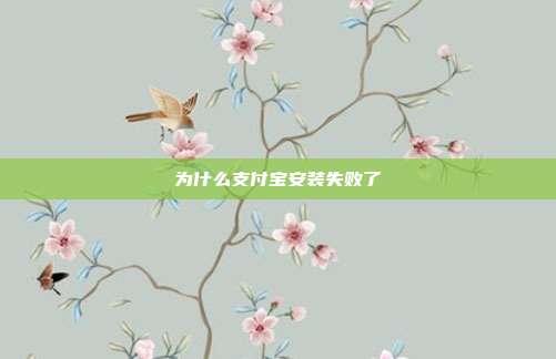 为什么支付宝安装失败了