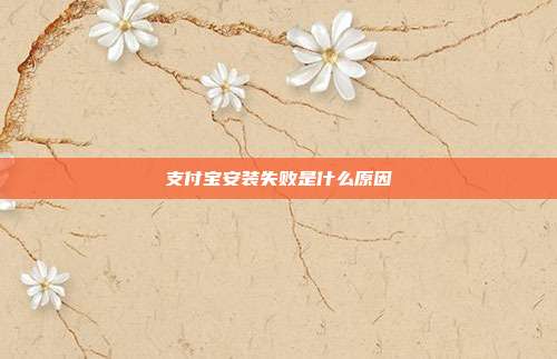 支付宝安装失败是什么原因