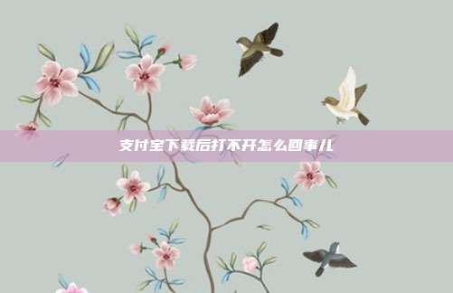 支付宝下载后打不开怎么回事儿