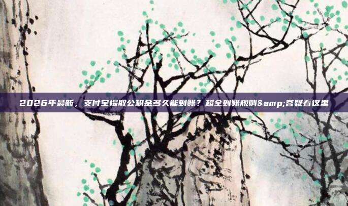 2026年最新，支付宝提取公积金多久能到账？超全到账规则&答疑看这里