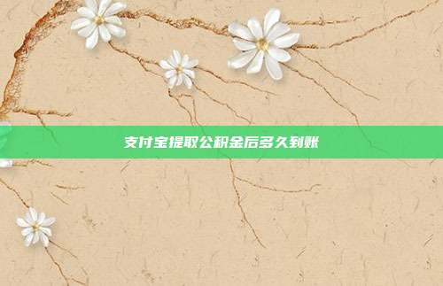 支付宝提取公积金后多久到账