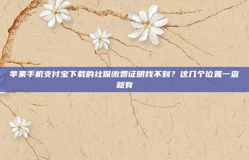 苹果手机支付宝下载的社保缴费证明找不到？这几个位置一查就有