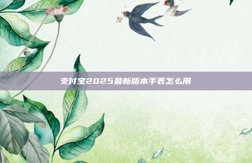 支付宝2025最新版本手表怎么用