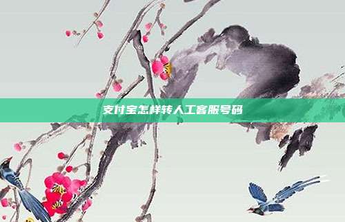 支付宝怎样转人工客服号码