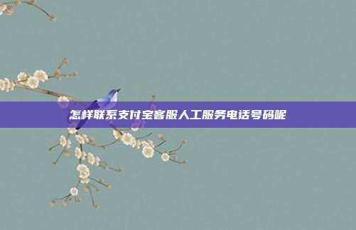 怎样联系支付宝客服人工服务电话号码呢