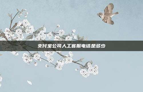 支付宝公司人工客服电话是多少