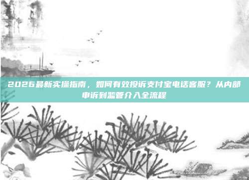 2026最新实操指南，如何有效投诉支付宝电话客服？从内部申诉到监管介入全流程
