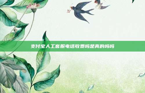 支付宝人工客服电话收费吗是真的吗吗