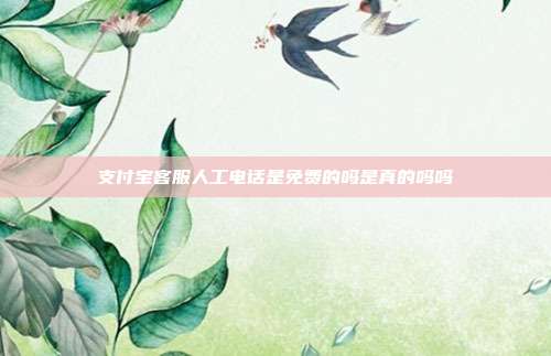 支付宝客服人工电话是免费的吗是真的吗吗