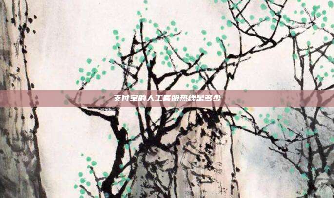 支付宝的人工客服热线是多少
