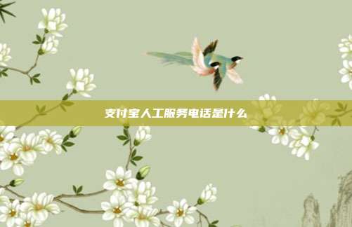 支付宝人工服务电话是什么