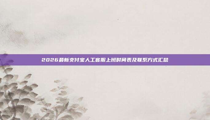 2026最新支付宝人工客服上班时间表及联系方式汇总