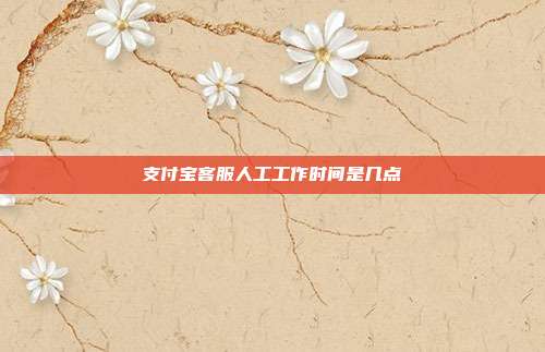 支付宝客服人工工作时间是几点