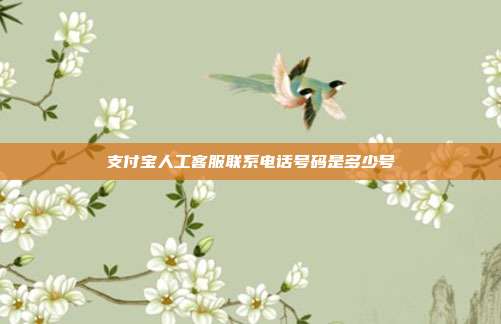 支付宝人工客服联系电话号码是多少号