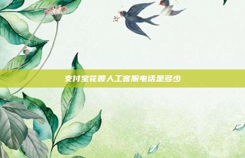 支付宝花呗人工客服电话是多少