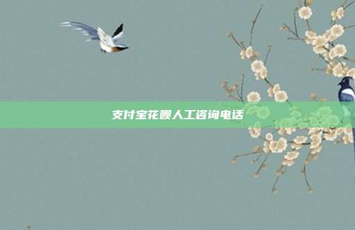 支付宝花呗人工咨询电话