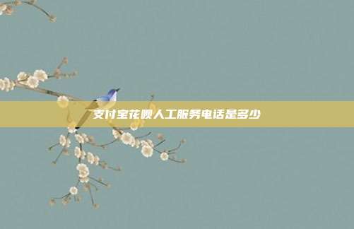 支付宝花呗人工服务电话是多少