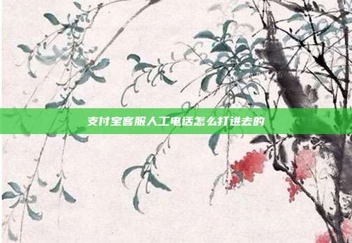 支付宝客服人工电话怎么打进去的