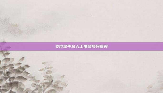 支付宝平台人工电话号码查询