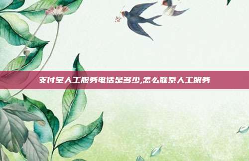 支付宝人工服务电话是多少,怎么联系人工服务