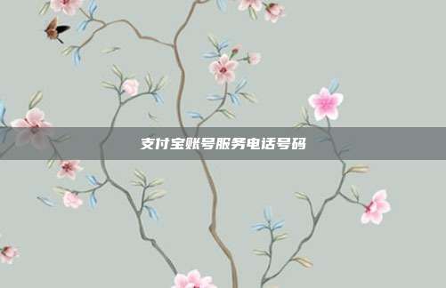 支付宝账号服务电话号码
