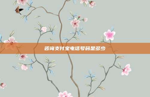 咨询支付宝电话号码是多少