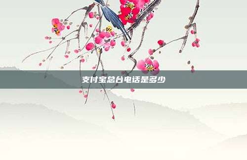 支付宝总台电话是多少