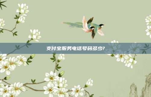 支付宝服务电话号码多少?