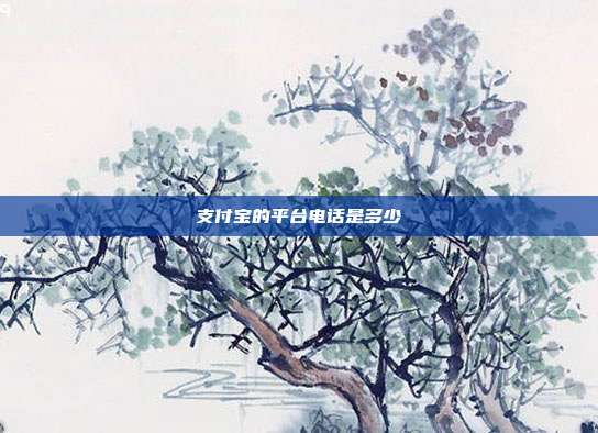 支付宝的平台电话是多少