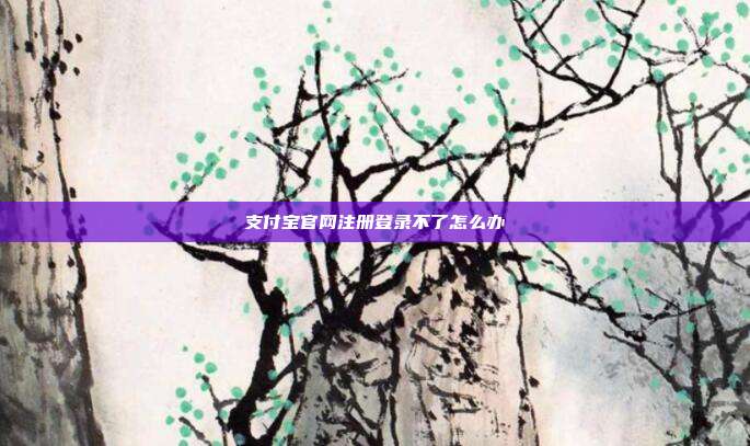 支付宝官网注册登录不了怎么办
