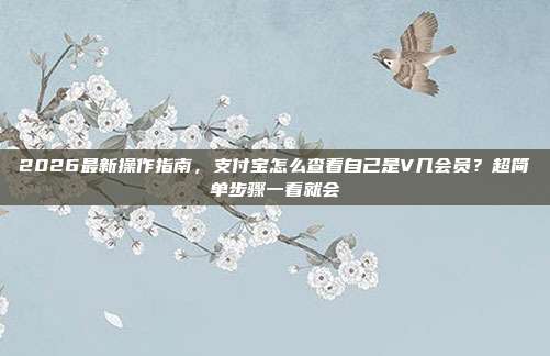 2026最新操作指南，支付宝怎么查看自己是V几会员？超简单步骤一看就会