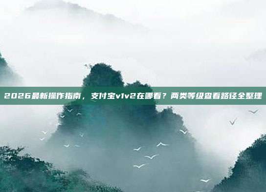 2026最新操作指南，支付宝v1v2在哪看？两类等级查看路径全整理
