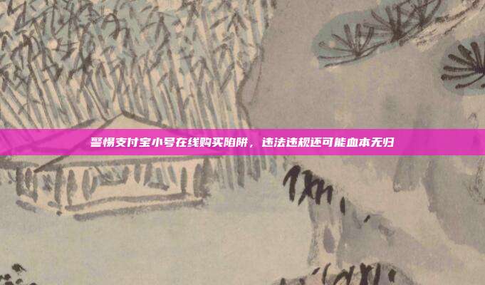 警惕支付宝小号在线购买陷阱，违法违规还可能血本无归