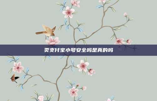 卖支付宝小号安全吗是真的吗