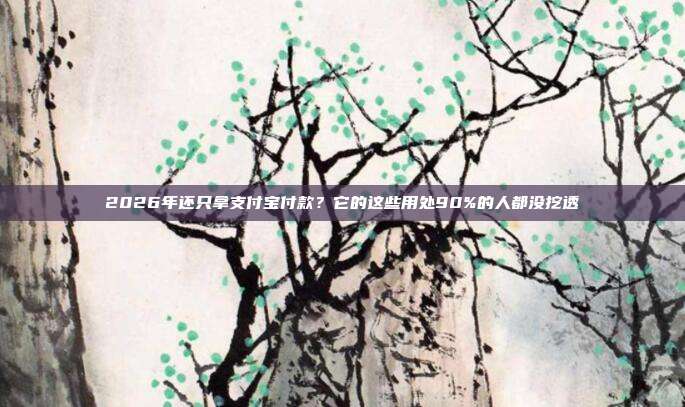2026年还只拿支付宝付款？它的这些用处90%的人都没挖透