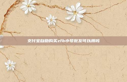 支付宝自助购买zfb小号批发可以用吗