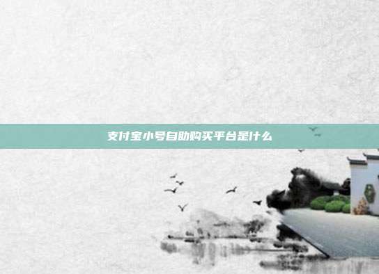 支付宝小号自助购买平台是什么