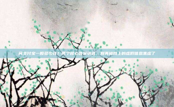 问支付宝一般多少钱？两个核心答案讲透，别再被网上的虚假信息焦虑了