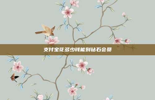 支付宝花多少钱能到钻石会员