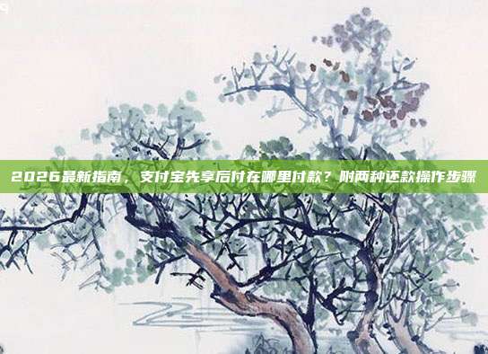 2026最新指南,支付宝先享后付在哪里付款?附两种还款操作步骤