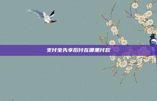 支付宝先享后付在哪里付款