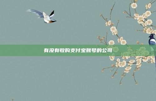 有没有收购支付宝账号的公司
