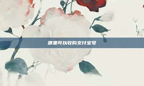哪里可以收购支付宝号