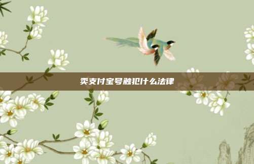 卖支付宝号触犯什么法律